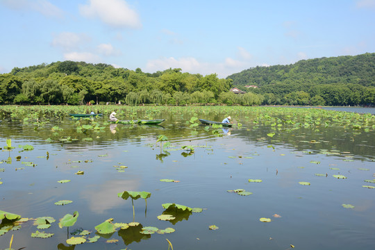 杭州西湖