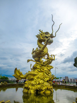 龙