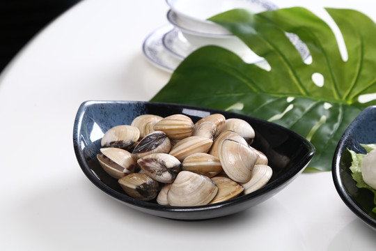 鲜白贝
