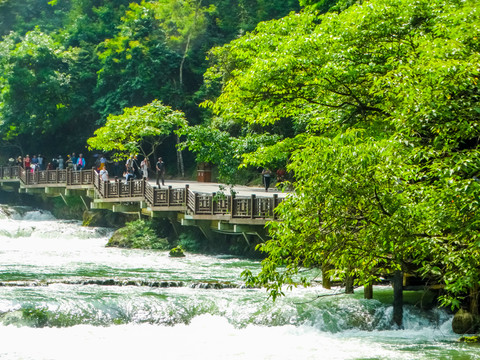 荔波河流