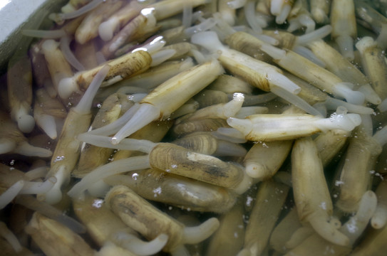 海鲜