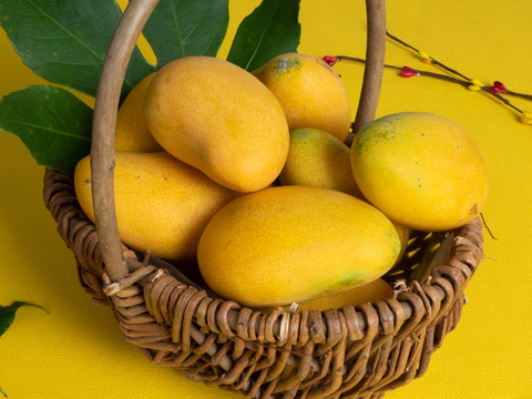 竹篮里的黄色大芒果
