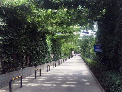 绿植通道