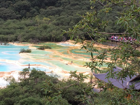 黄龙梯田