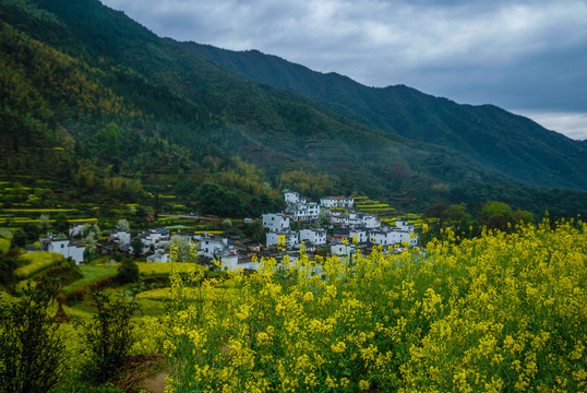 婺源风光