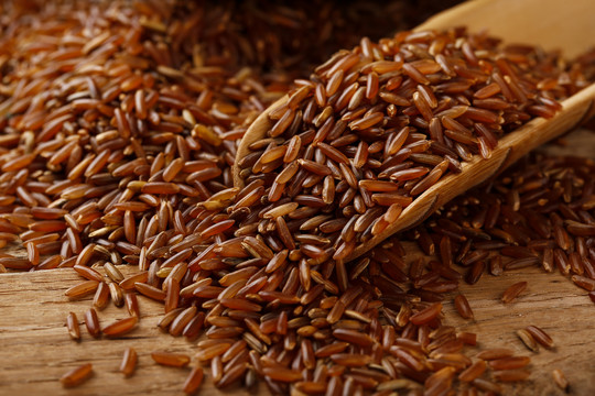 稻米大米小米糯米红米