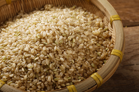 大米小米糙米薏仁米红米