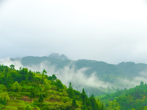 云雾群山