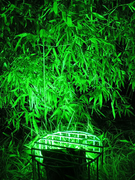 竹林夜景照明景观