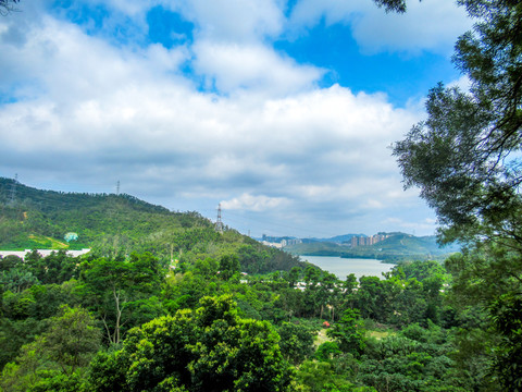 仙湖植物园