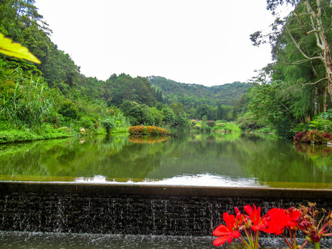 仙湖植物园