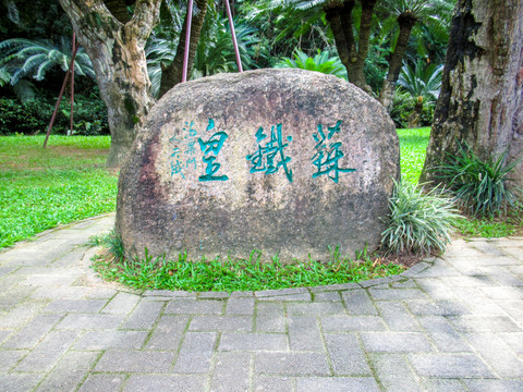 苏铁园