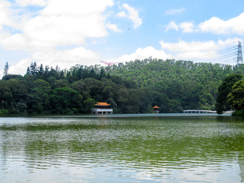 仙湖植物园