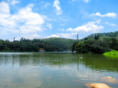 仙湖植物园