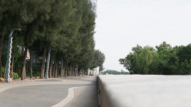 海岸道路特写