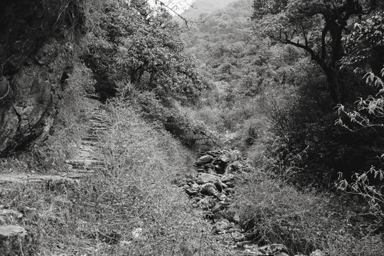 茶马古道遗址山路