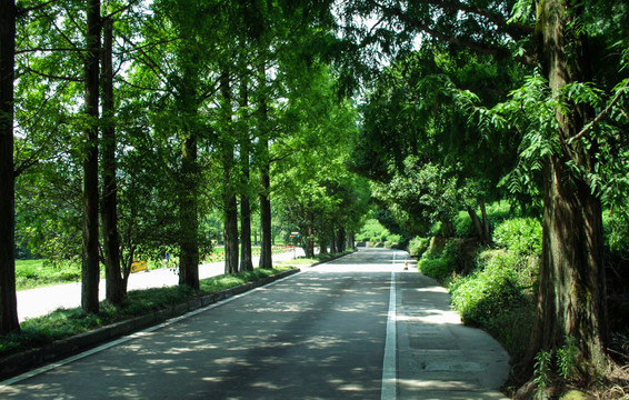 公路