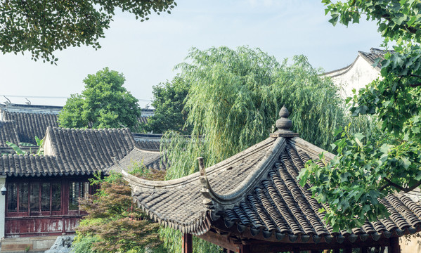 中国苏州市美丽幽静的艺圃园林