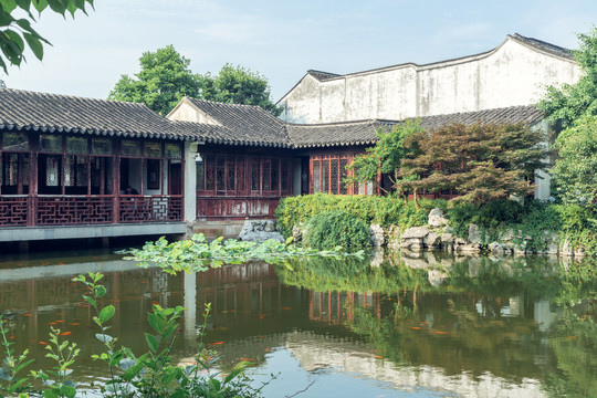 中国苏州市美丽幽静的艺圃园林