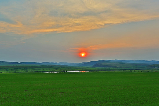 麦田落日风景