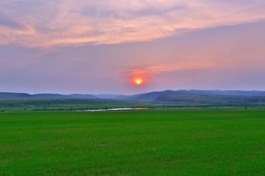 麦田落日风景