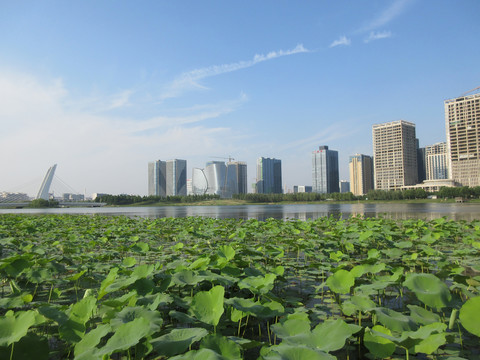 郑州龙子湖