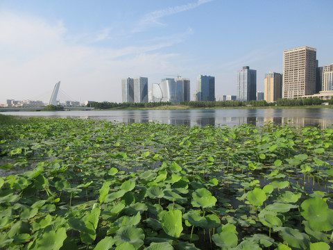 郑州龙子湖