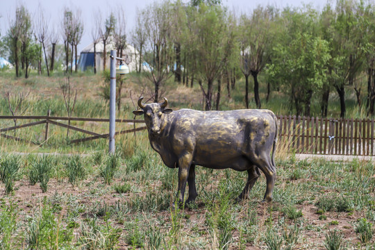 牛的铜雕塑