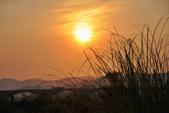 夕阳