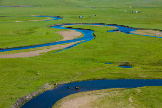 夏季草原河流马群蒙古包