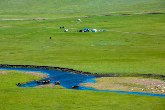草原蒙古包河流马群