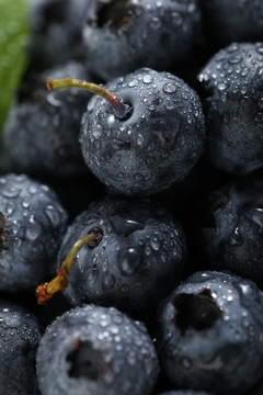 新鲜水果蓝莓