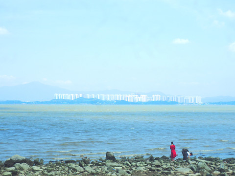 深圳湾海滩