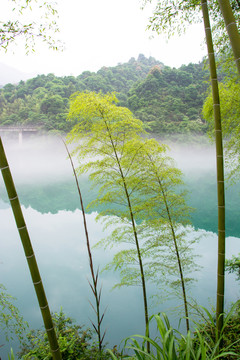 雾漫小东江