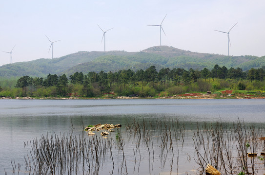 湖泊生态与清洁能源