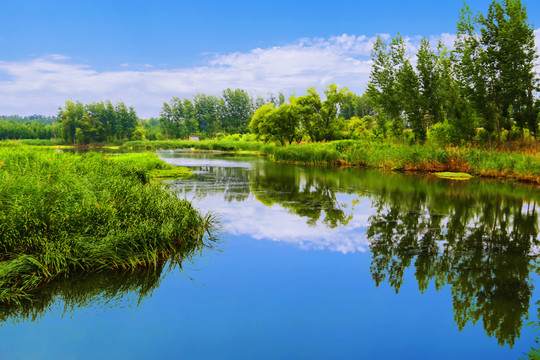 蓝天白云湖泊湿地