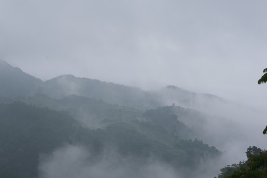 清晨山间云雾