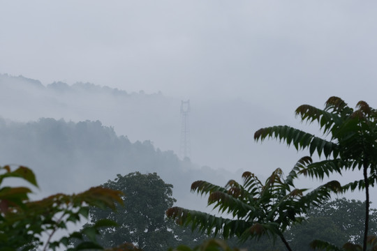 清晨山间云雾