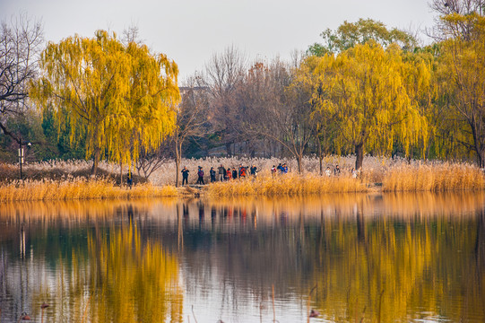 湖景秋色