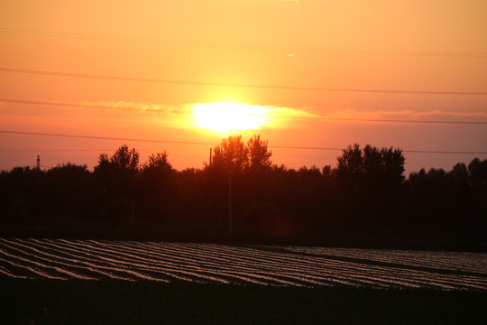 大地夕阳