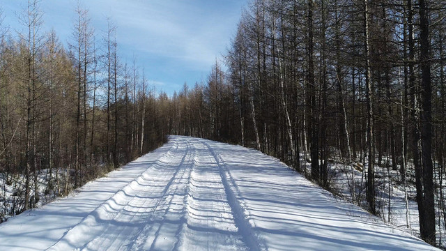 森林道路雪景