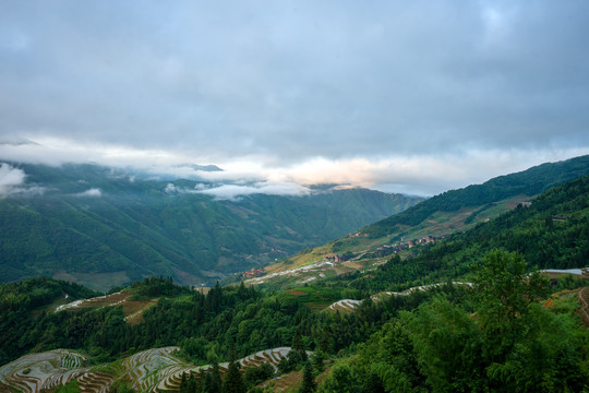 龙脊梯田