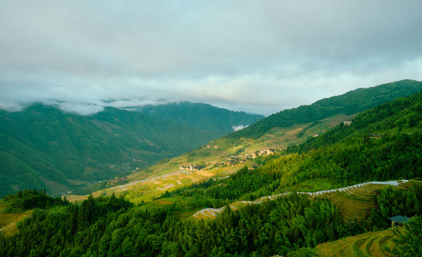 龙脊梯田