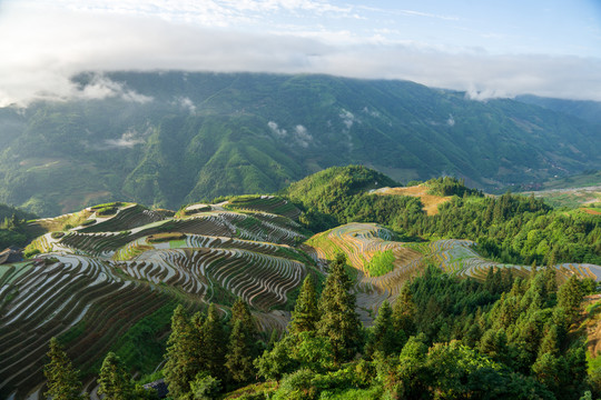 龙脊梯田