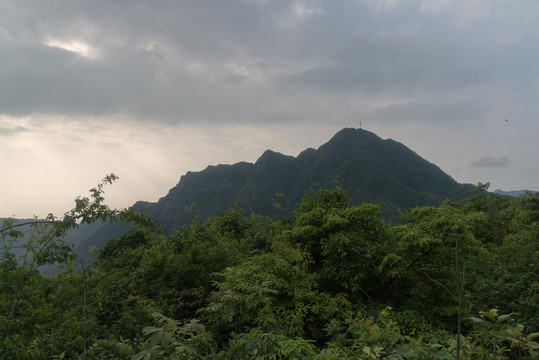 王山坪森林风光