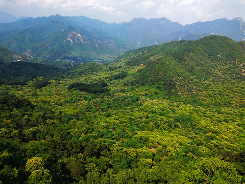 绿水青山