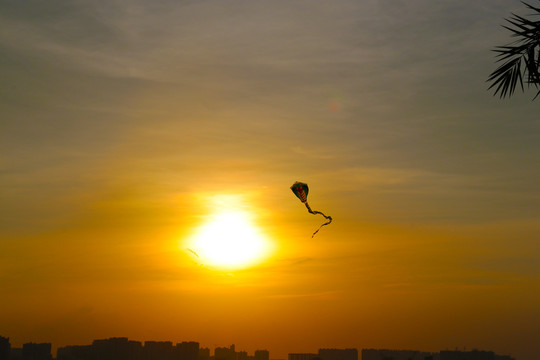 夕阳