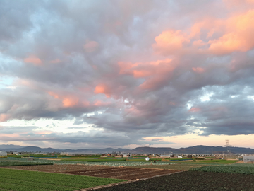 农田风光