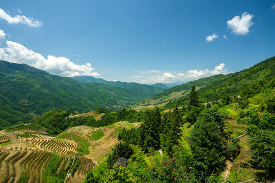 龙脊梯田