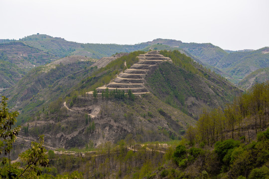 黄土高原